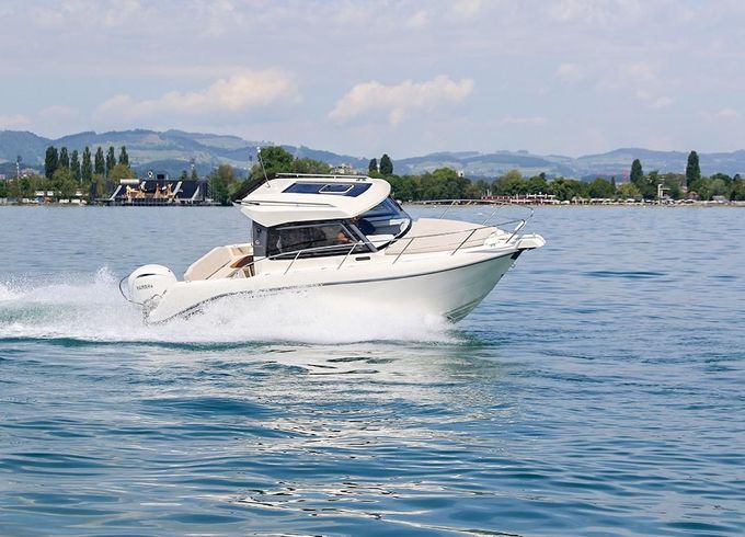 Capelli Dino 23