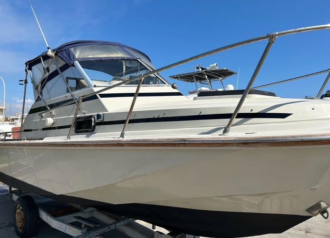 Boston Whaler Revenge 22