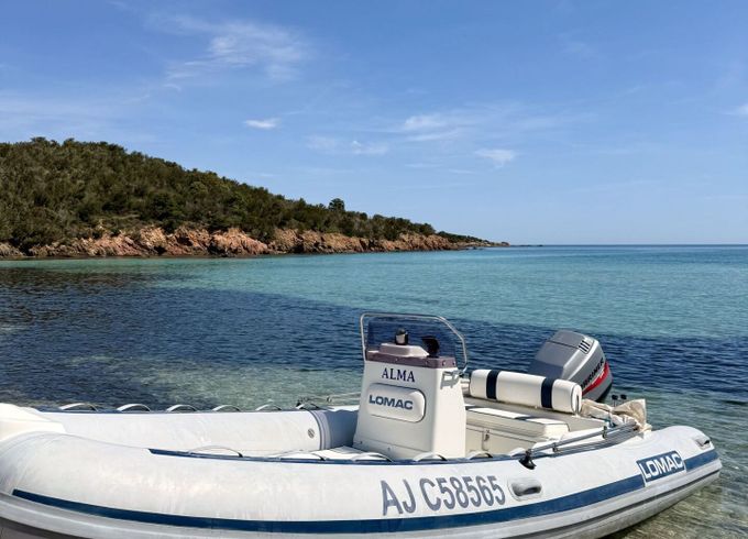 RIB LOMAC 540 IN 115hp