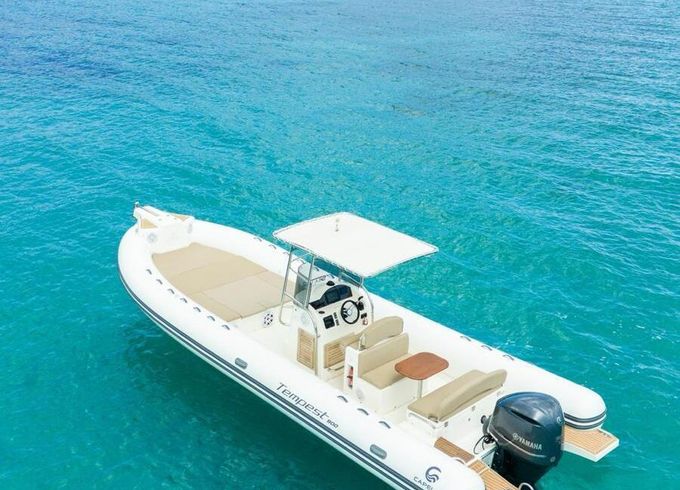 RIB Capelli TEMPEST 900 SUN 250hp