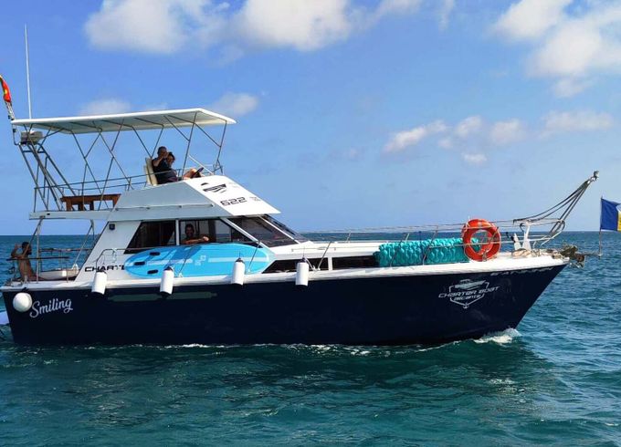 Motorboat Princess 37 460hp