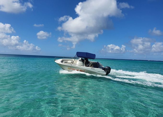 Motorboat Jeanneau Cap camarat 150hp
