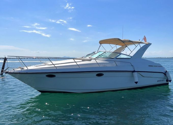 Motorboat Sea Ray 310 520hp