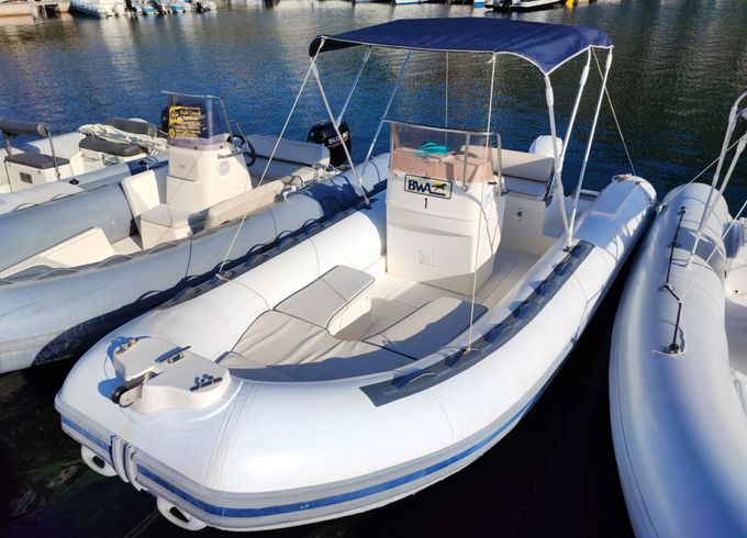 Boat without licence  Bwa America 550 40hp