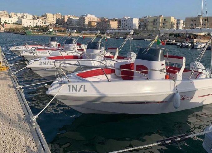 Motorboat Blumax Open 19 40hp