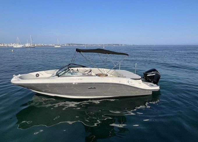 Motorboat Sea Ray SPX 210 200hp