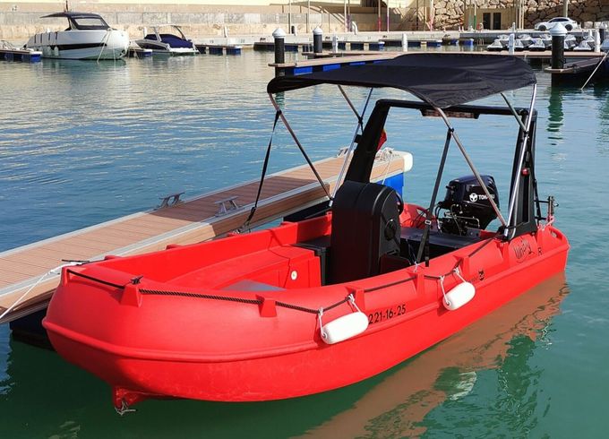 Boat without licence  Whaly Boats 435-R 15hp