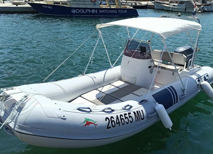 RIB Sacs Marine 490 40hp