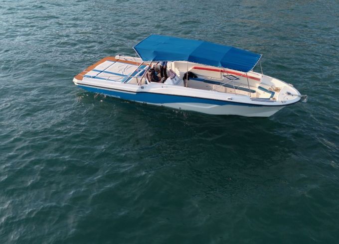 Motorboat Century Mercan 36