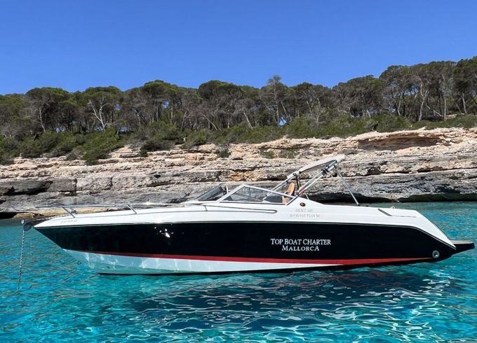 Motorboat WELLCRAFT OPEN 260hp