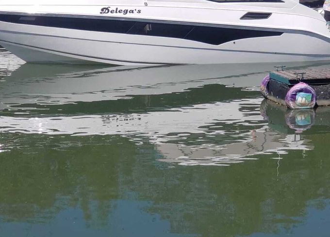 Motorboat Real 365 500hp