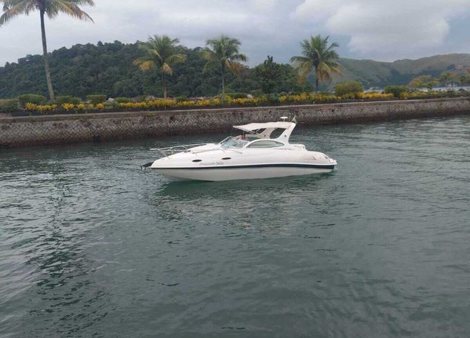 Motorboat Magis 27.5 300hp