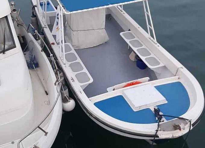 Motorboat Nelis-cyp Nelis-750 150hp