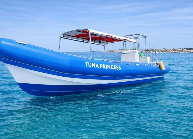 RIB Custom Build custom 350hp