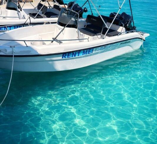 Boat without licence  Poseidon Blue Waters 170 36hp