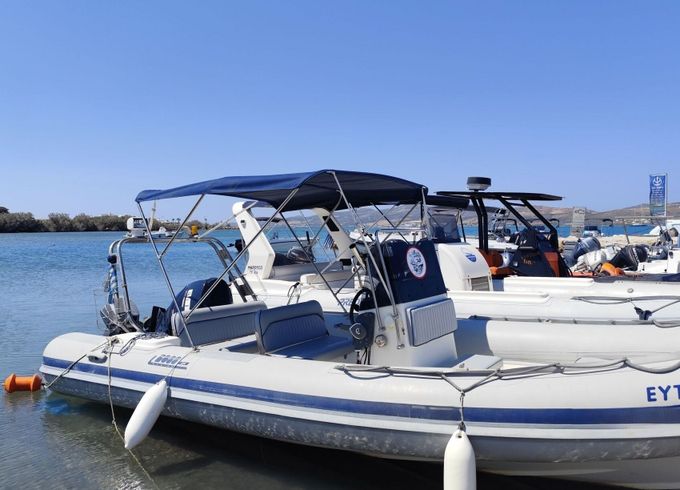 RIB Boss - Evinrude E150DPL