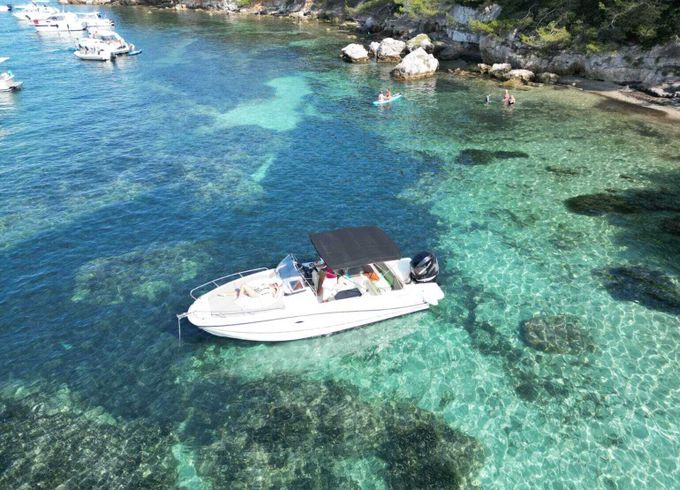 Motorboat Quicksilver Activ 755 Sundeck 250hp