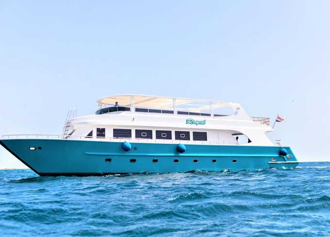Motor yacht Cruisers 2022 1300hp