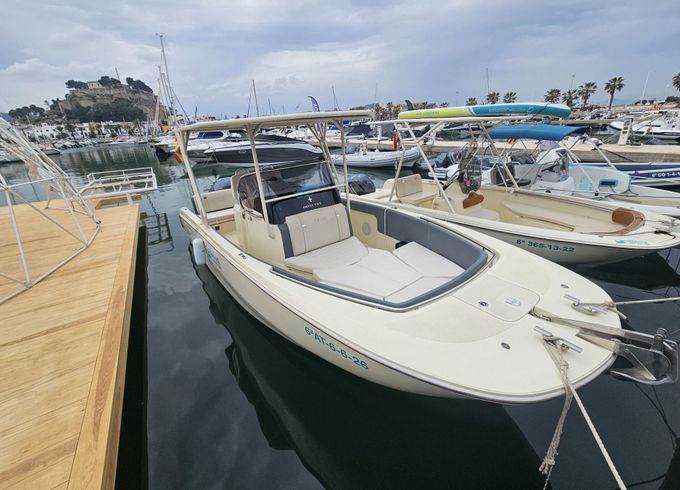Motorboat Fairline INVICTUS FX240 250hp