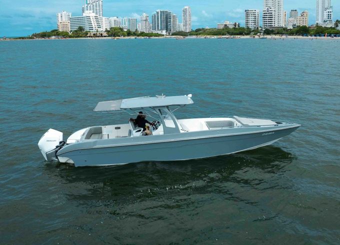 Motorboat Todomar 38 I 600hp
