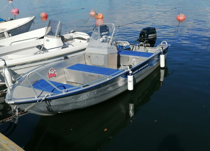 Motorboat Linder Linder 445 Sportsman