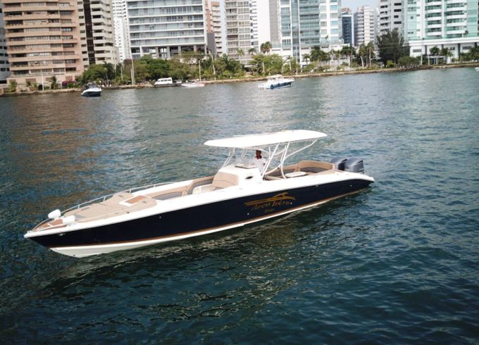 Motorboat de lujo capacidad 20 personas 2024 600hp