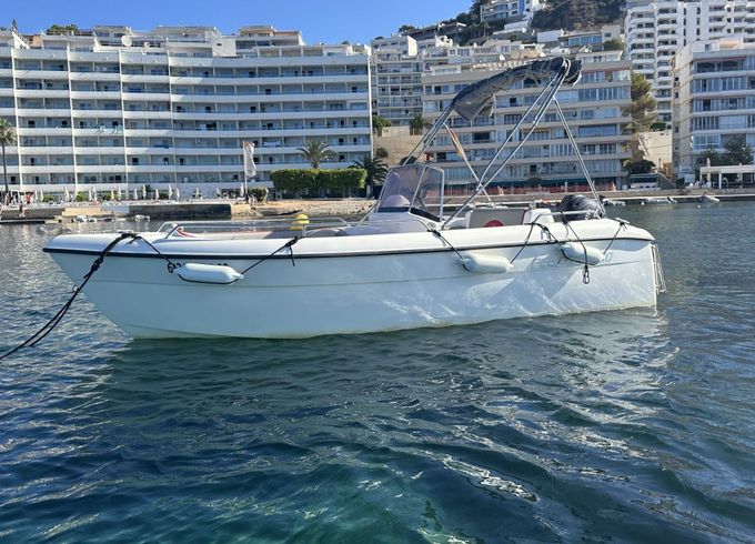 Boat without licence  Pegazus 460 15hp