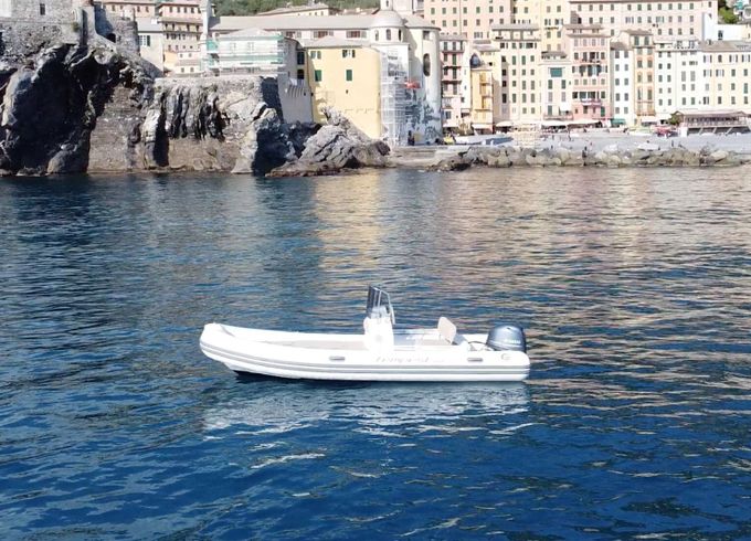 Boat without licence  Capelli Capelli Tempest 530 40cv 40hp