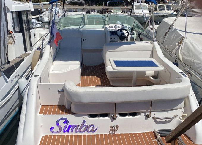 Motorboat Sea Ray 250 245hp