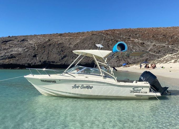 Motorboat Scout 2006