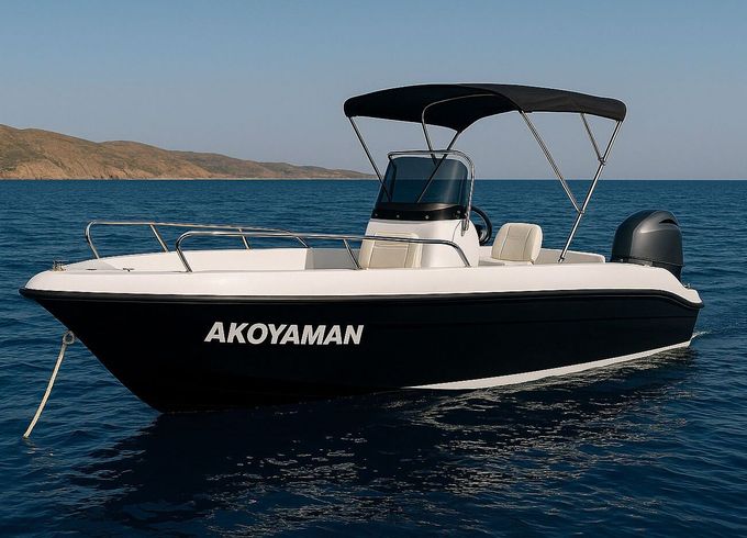 Boat without licence  Poseidon 170