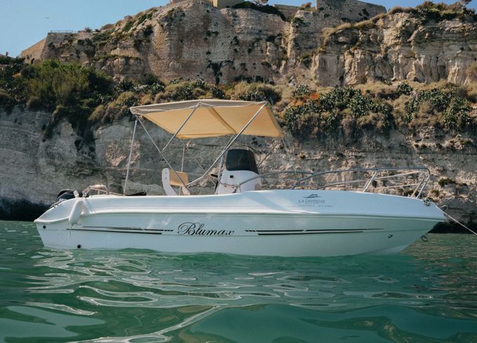 Boat without licence  Blumax Blumax 40hp