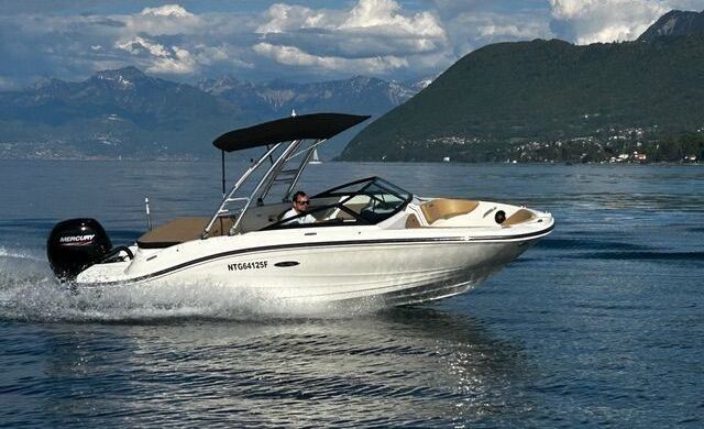 Motorboat SEA RAY SEA RAY 600 150hp