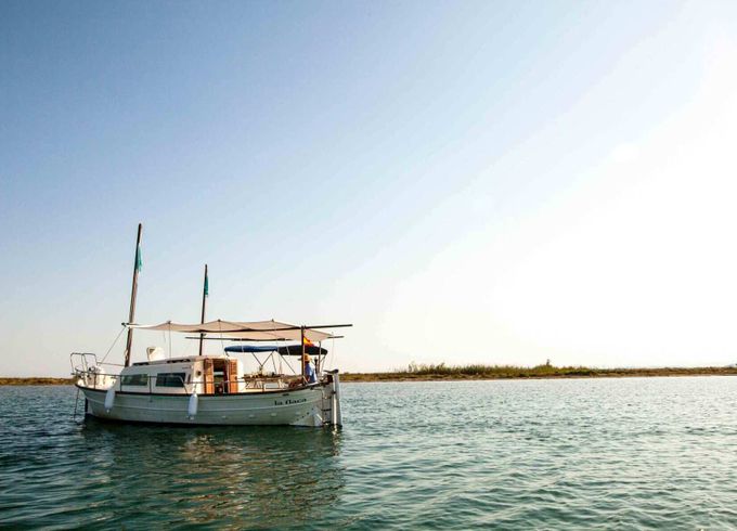 Motorboat Majoni 35 75hp