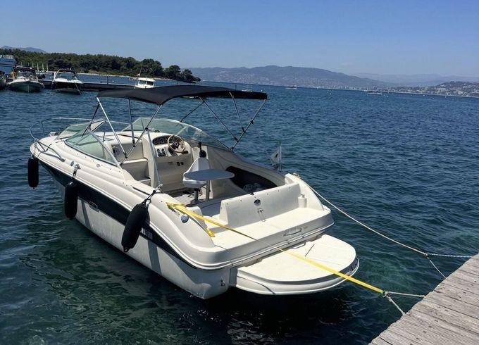 Motorboat Sea Ray 225 260hp