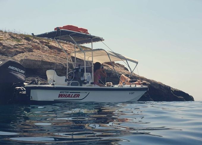 Motorboat Boston Whaler Montauk 80hp