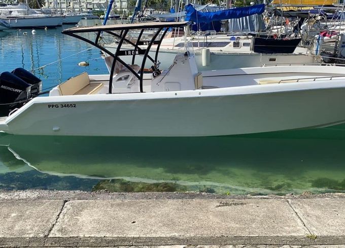 Motorboat Forboat 29 450hp