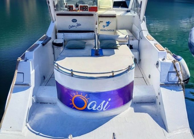 Motorboat Dalla Pieta' 28 ALTAIR 400hp