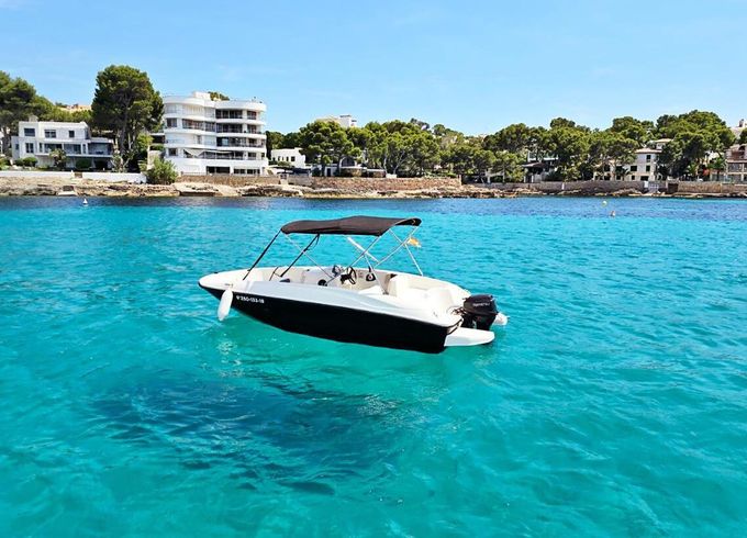 Boat without licence  Bayliner Element E5 15hp