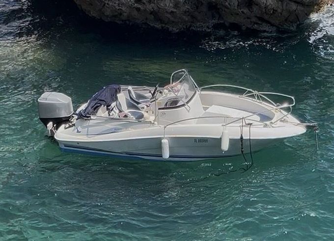Motorboat Brunswick Corporation QuickSilver 555 commander 100hp