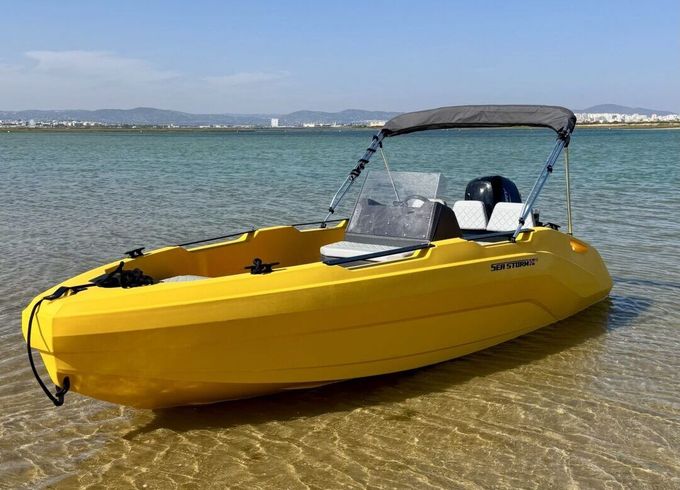 Motorboat Seastorm 17 Advantage 60hp