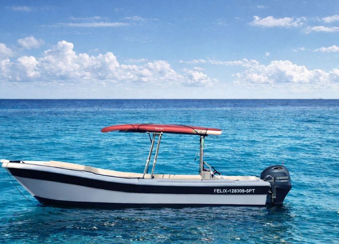 Motorboat With or without skipper 100hp