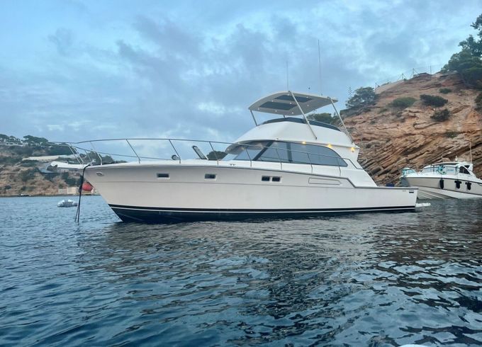 Motor yacht Bertram 54 1100hp