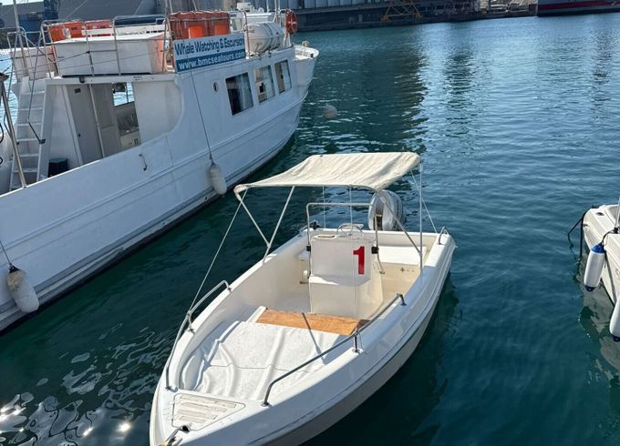 Boat without licence  Saver 19 Open 40hp