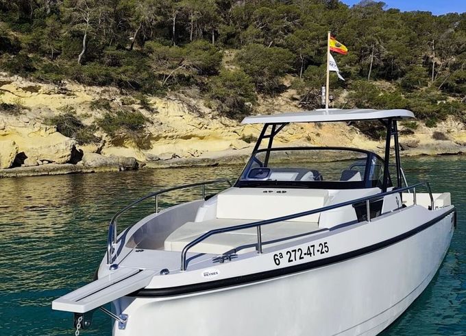 Motorboat Ryck 280