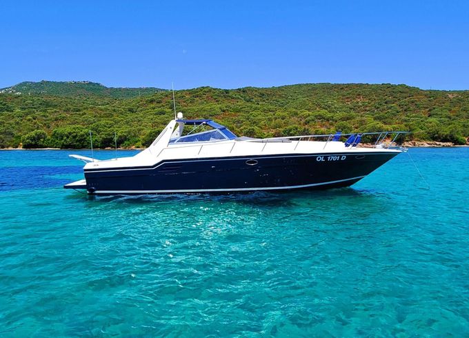 Motorboat SEA RAY SEA RAY 46