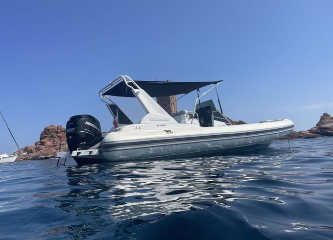 RIB Tiger Marine 8.50 350hp