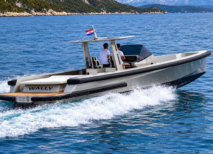Motorboat Wally Tender 45 900hp