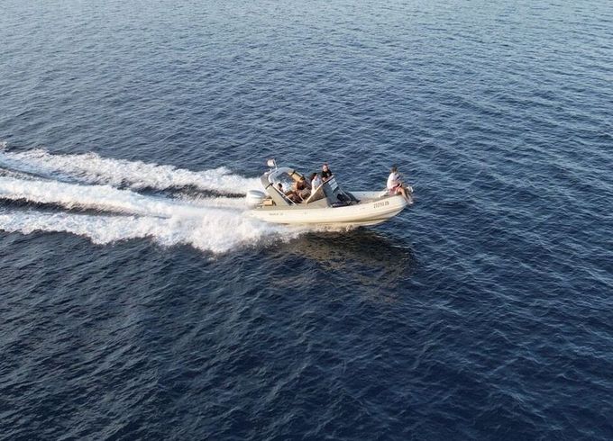 RIB Shark 23 23