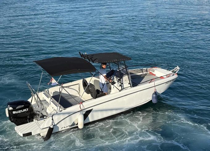 Motorboat Beneteau FLYER 8 300hp